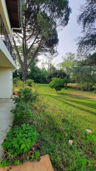La Maison De Lili Colayrac-Saint-Cirq Luaran gambar