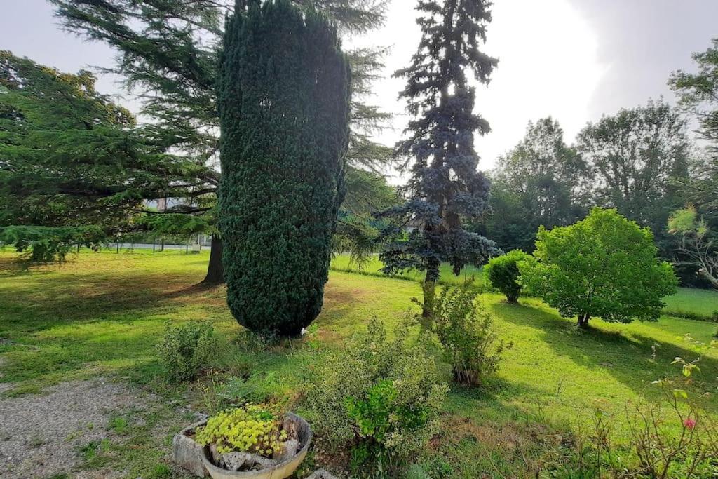 La Maison De Lili Colayrac-Saint-Cirq Luaran gambar