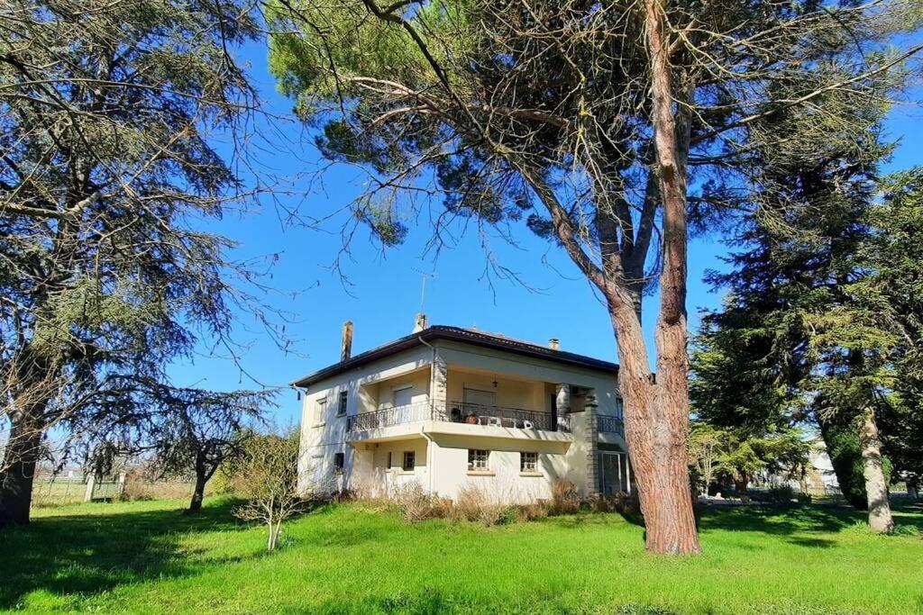 La Maison De Lili Colayrac-Saint-Cirq Luaran gambar