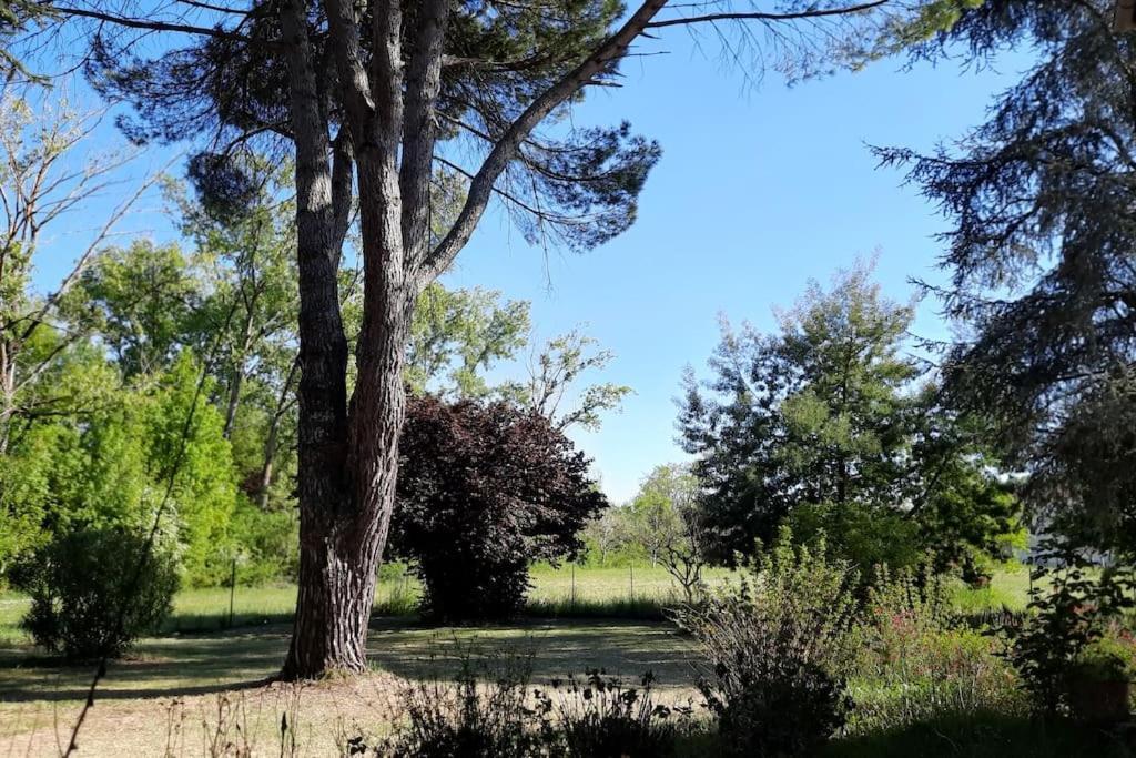 La Maison De Lili Colayrac-Saint-Cirq Luaran gambar